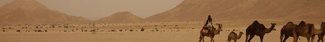 Saudi Arabia