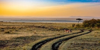 Visitando Kenia | Una breve guía