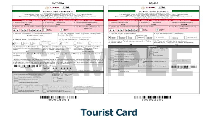 Example of Tourist Card